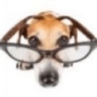 memelere şapka kanunu