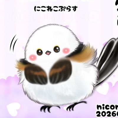 にこねこ 🐝niconeco🐥
