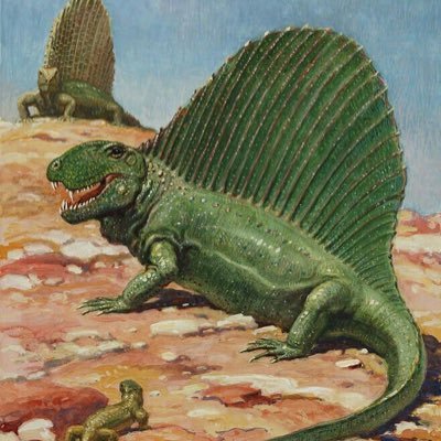 friedpickle raperoomf