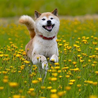 百家乐开云体育开云英雄联盟彩票真人棋牌电子开云电竞足球篮球电竞时时彩