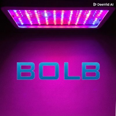 Bolb