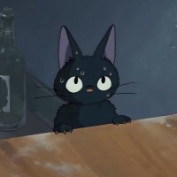 sky .✦ ── ≽^• ˕ • ྀི≼