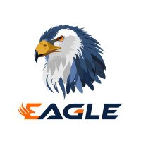 Eagle Coin