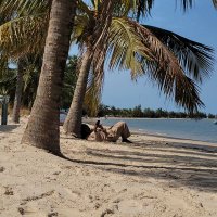 Kalidou Demba Nguirane