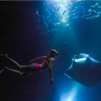 Son of Ilaje, born mariner ⛵