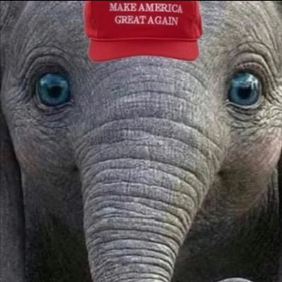 Nick “The African Wild Dog”