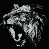 𝘔 𝘢 𝘳 𝘪 𝘰 𝘑 𝘶 𝘯 𝘪 𝘰 𝘳