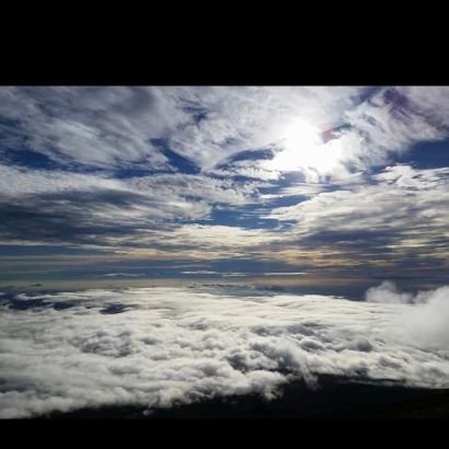 とりあえずハイボール