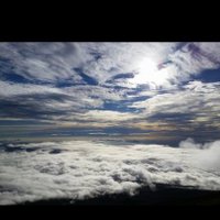 とりあえずハイボール