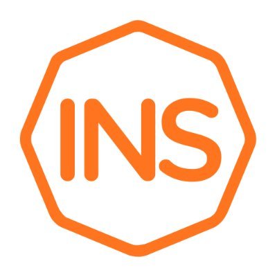 INS AI Solutions