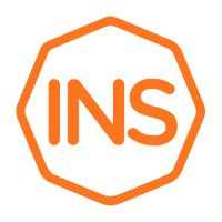 INS AI Solutions