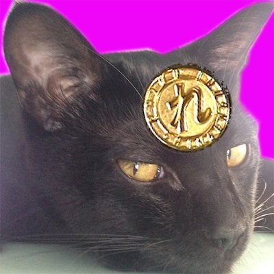 黒い猫やん太郎🐾 改憲すると自民党の永久独裁になるよ #高市総理は統一教会との関係の説明責任あり