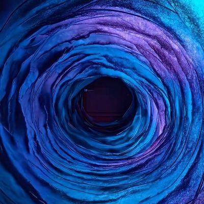 🍍🇵🇸🇨🇩🇸🇩