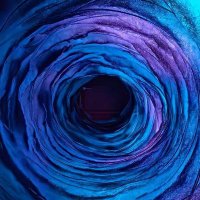 🍍🇵🇸🇨🇩🇸🇩