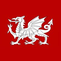 Zoomer Saxon 🏴󠁧󠁢󠁥󠁮󠁧󠁿 🇬🇧