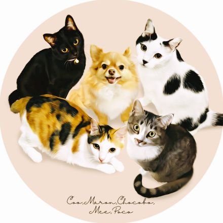 香嘉ROOM 💎 【ｶｶ】🐈🐕🐾(ᴗ͈ˬᴗ͈)っ🍵🍡