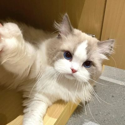 แม่ปลอม เองค่ะ