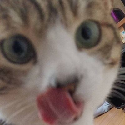 だいチャンネル~僕*時々おかん