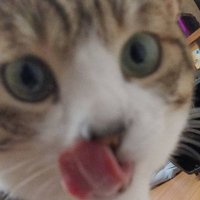 だいチャンネル~僕*時々おかん