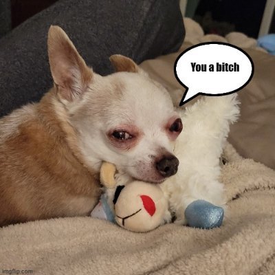 Cookie Group Think Monster 🇨🇦🏳️‍🌈🏳️‍⚧️🏴‍☠️