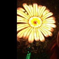 tatooine schemas and celestial academia