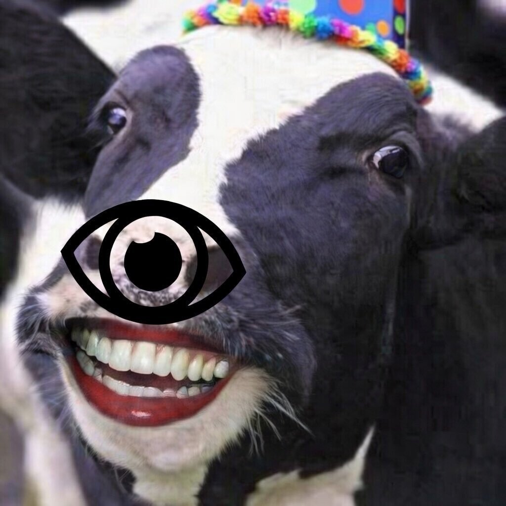 Vaca BBZEIRA