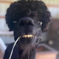 ⟆ⲙᎯ⊂ⲕ𝘭Ⴘ