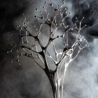 il nome non può essere vuoto