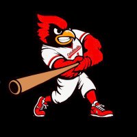 Melissa Baseball ⚾️