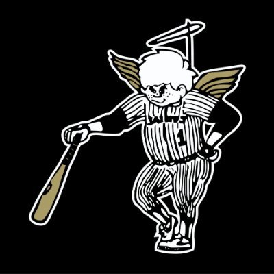 Dassel-Cokato Saints