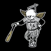 Dassel-Cokato Saints