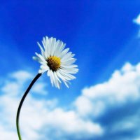 あーす✩.*˚earth