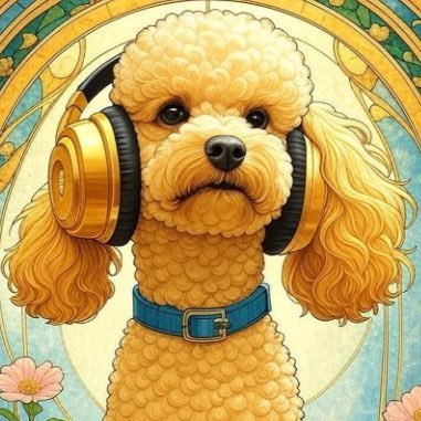 HELLO!トイプードル