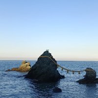 中道（立憲）を応援する20代🇯🇵🟦