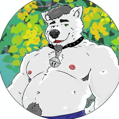 Sir Hikaru 🐺🇦🇷 (DM open)