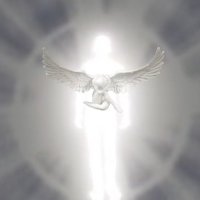 Let Your Heart Capture By Gravity