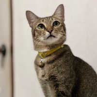 🔥เกี๊ยววววก่อบ 🚜🪏🪓