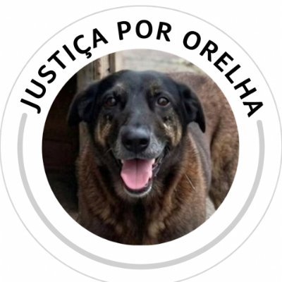 denunciem o bbb a endemol 🧙♀️🍍🐉🫀