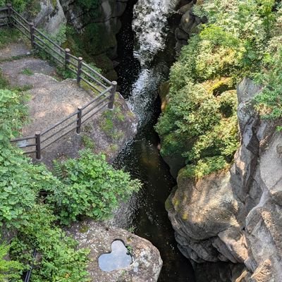 ふなばっしー🍐