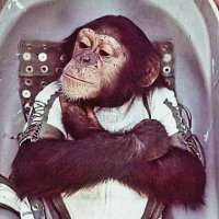 SimianInSight 🇺🇲 🇺🇦💙simianinsight.bsky.social