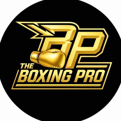 Boxing Pro 🥊