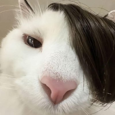 do re mi fa so lamento