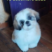 🎈Melle Christine Bossard🎈