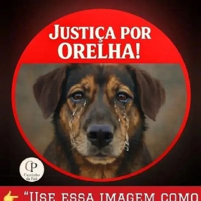 Fioravante Fernandes