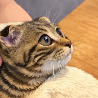 れおん（LEON）🎸🥝