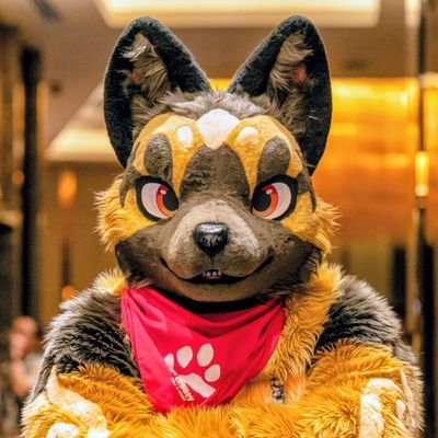 紀州の関東人(Kisyu)/キセノン Xenon 🐶→寺もふ