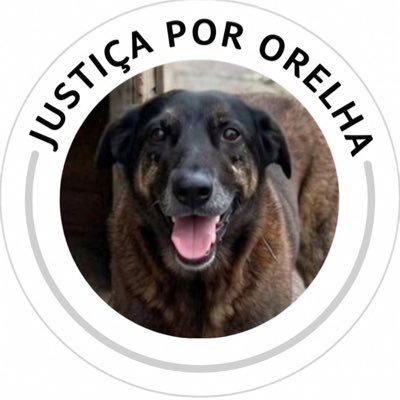 JusticaPorOrelha