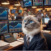 felipe190491 Analyse