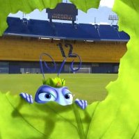 Hormiga Xeneize 🐜