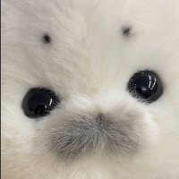 🌈Lil’Fattie 🍅✨